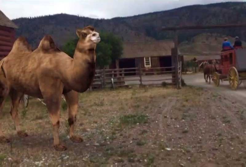Technology brings the past alive at Hat Creek Ranch
