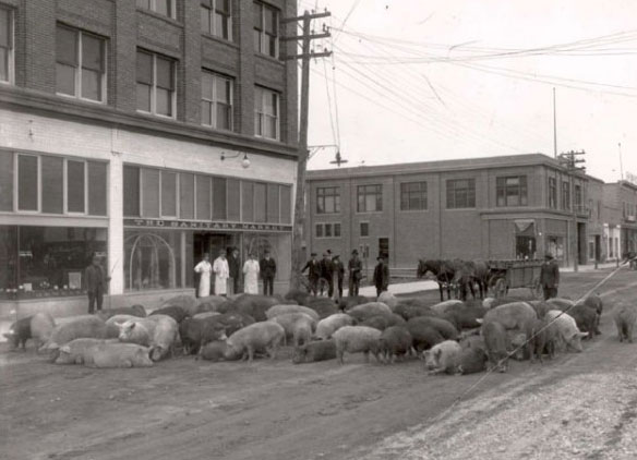 In CASTANET News – History & Technology Collide