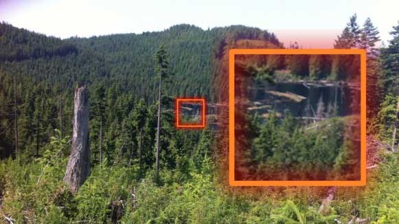 Sasquatch spotted near Mission, BC